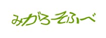Authentication image